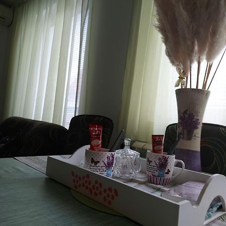 Stancicmilena Apartment Pozarevac Ngoại thất bức ảnh