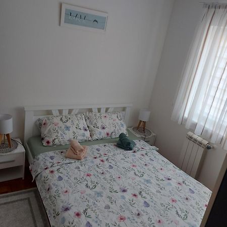 Stancicmilena Apartment Pozarevac Ngoại thất bức ảnh