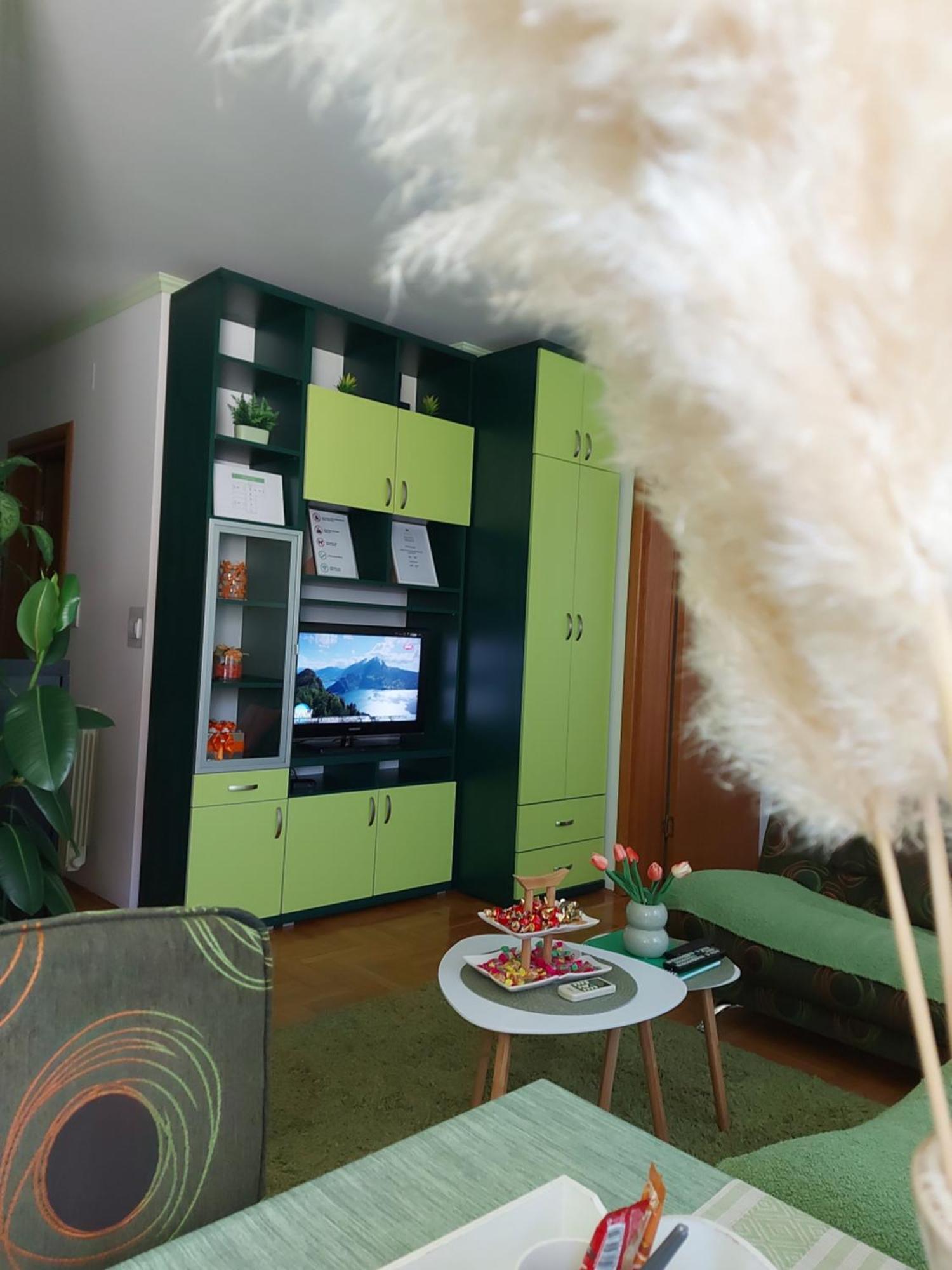 Stancicmilena Apartment Pozarevac Ngoại thất bức ảnh