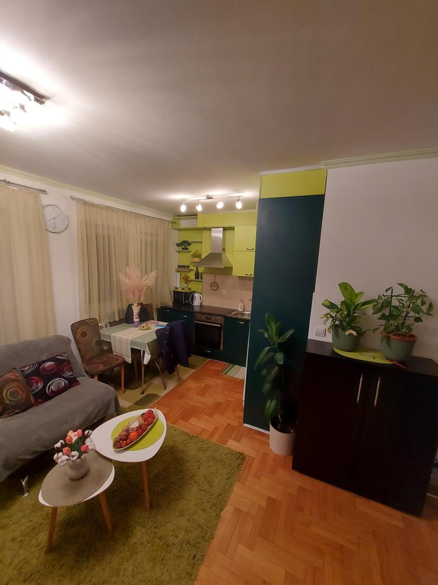 Stancicmilena Apartment Pozarevac Ngoại thất bức ảnh