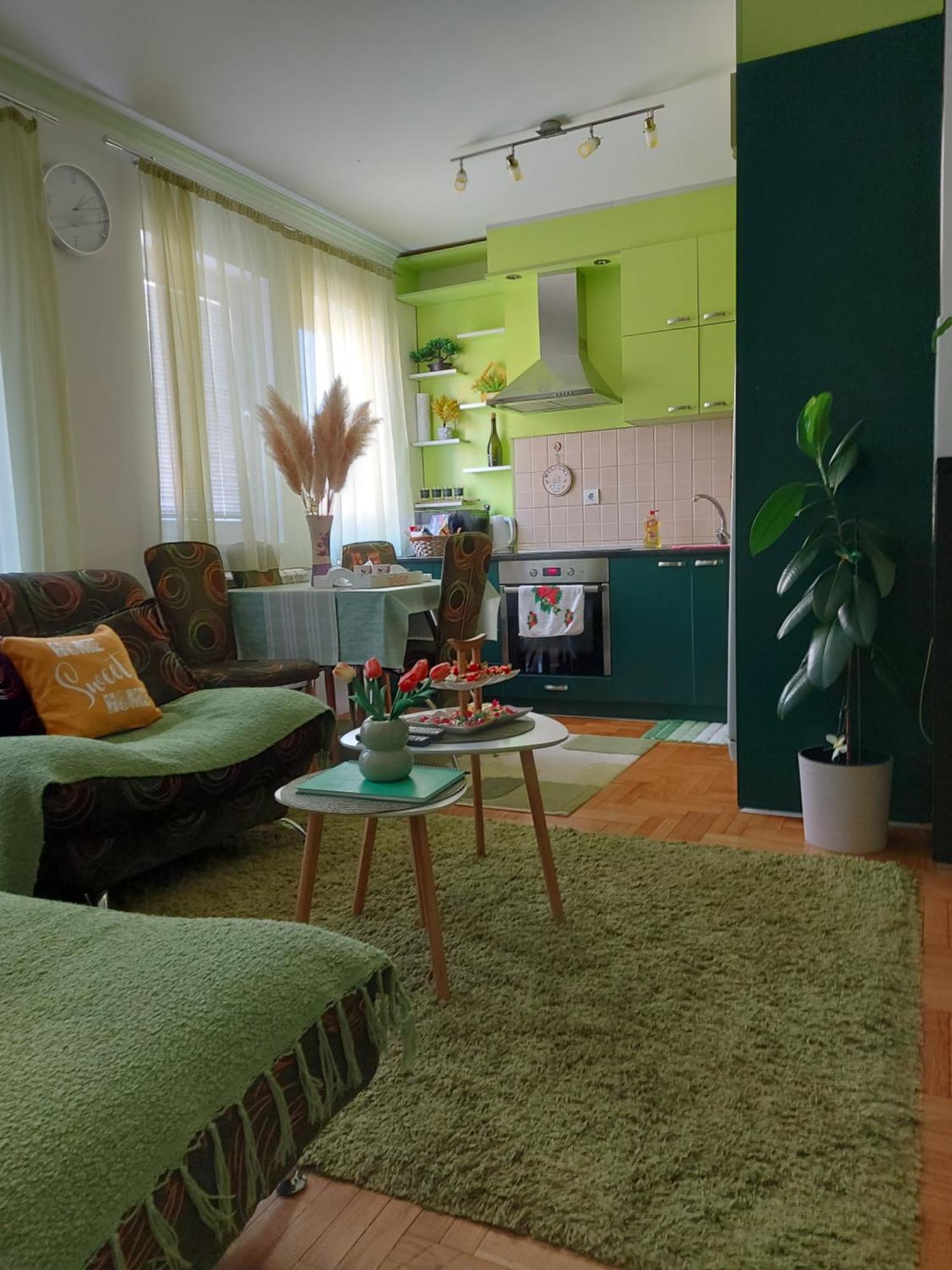 Stancicmilena Apartment Pozarevac Ngoại thất bức ảnh