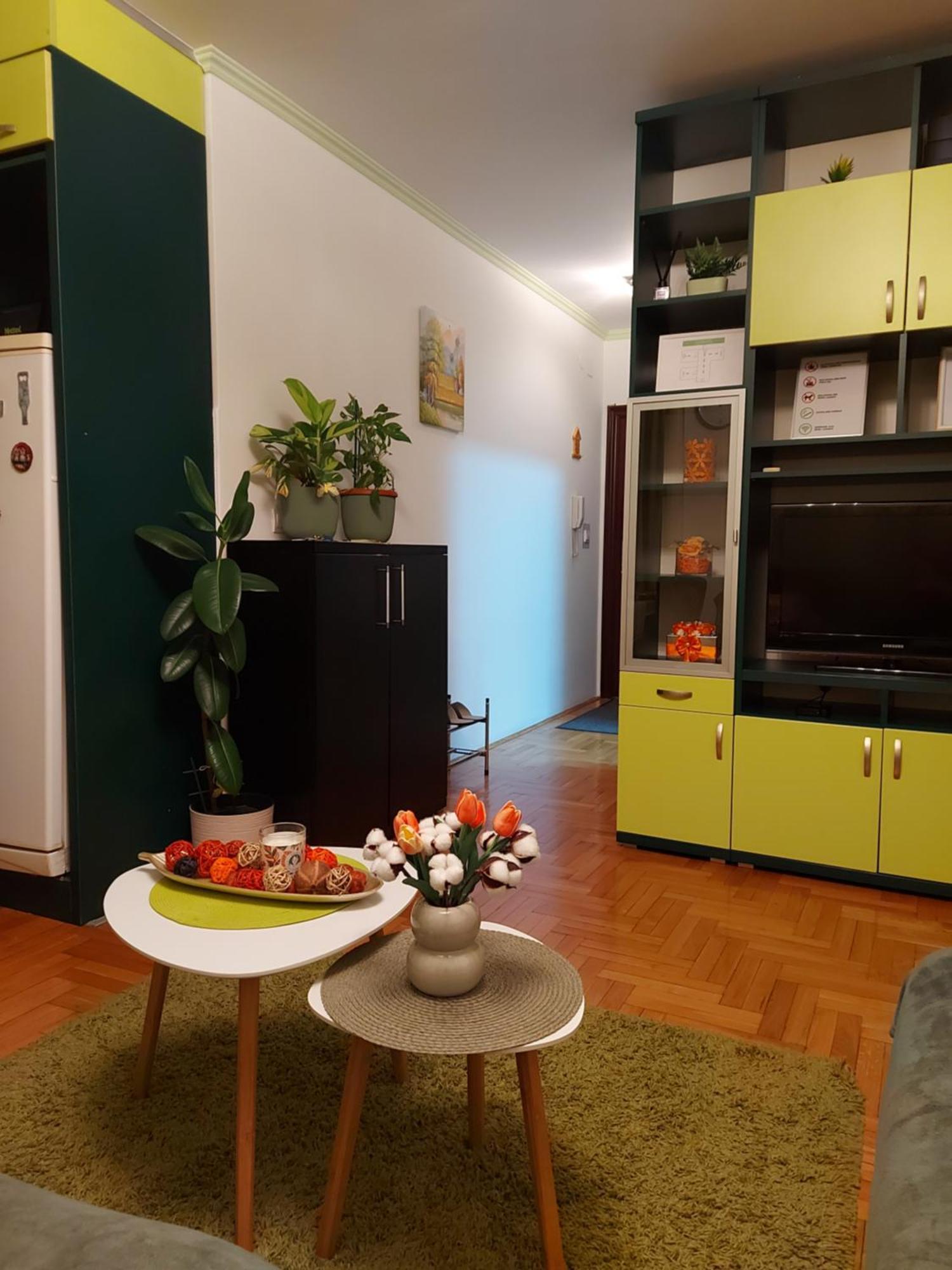 Stancicmilena Apartment Pozarevac Ngoại thất bức ảnh